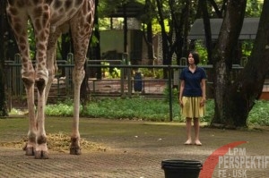 Cuplikan dari Postcards from the Zoo