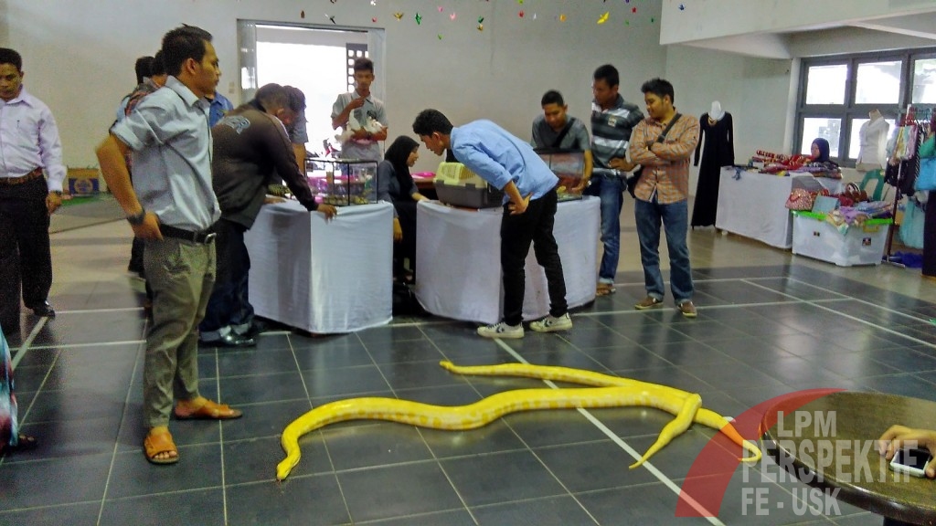 Komunitas Reptil Meriahkan Penutupan Inkubator Expo 2015